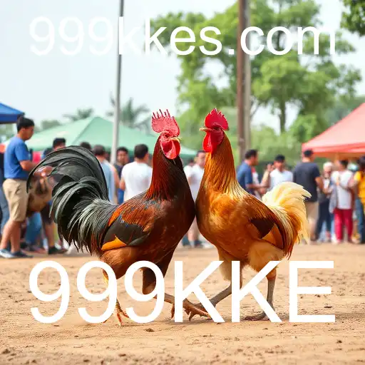 VIP Service 999KKE - 24/7 Support and Exclusive Benefits